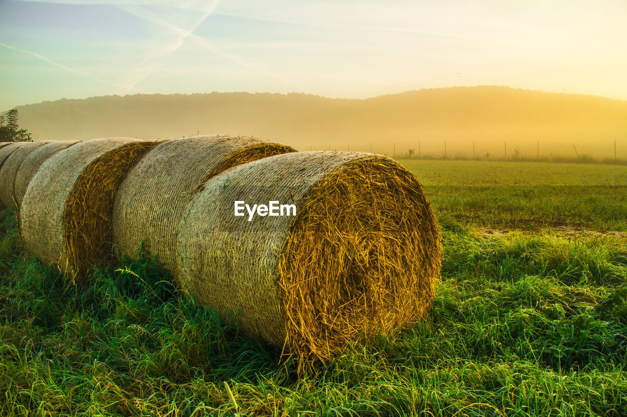 Hay bales on grassy field during sunrise