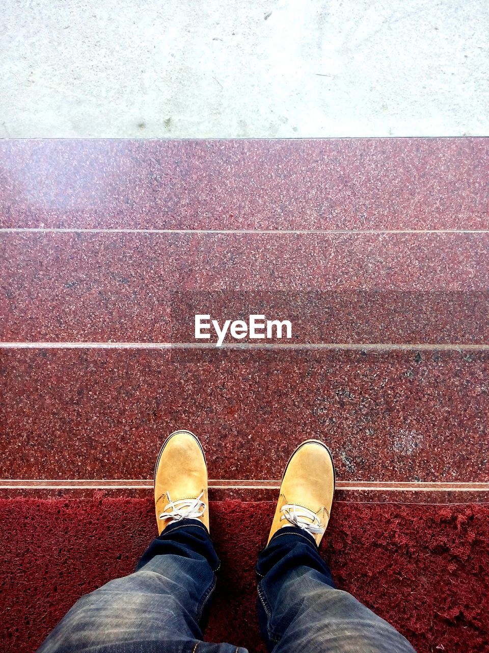 Low section of person standing on steps