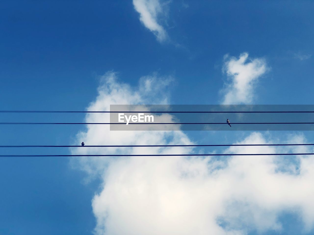 LOW ANGLE VIEW OF POWER LINE AGAINST SKY