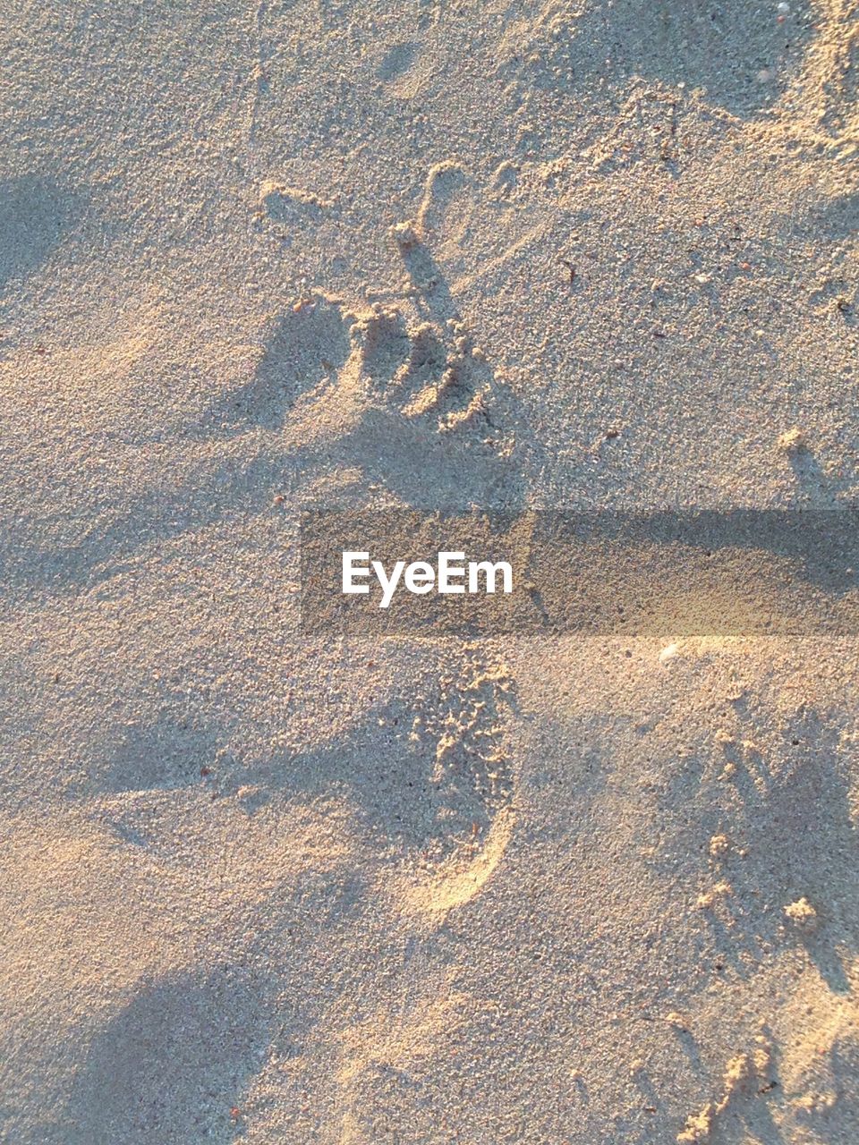 HIGH ANGLE VIEW OF FOOTPRINTS ON SANDY BEACH