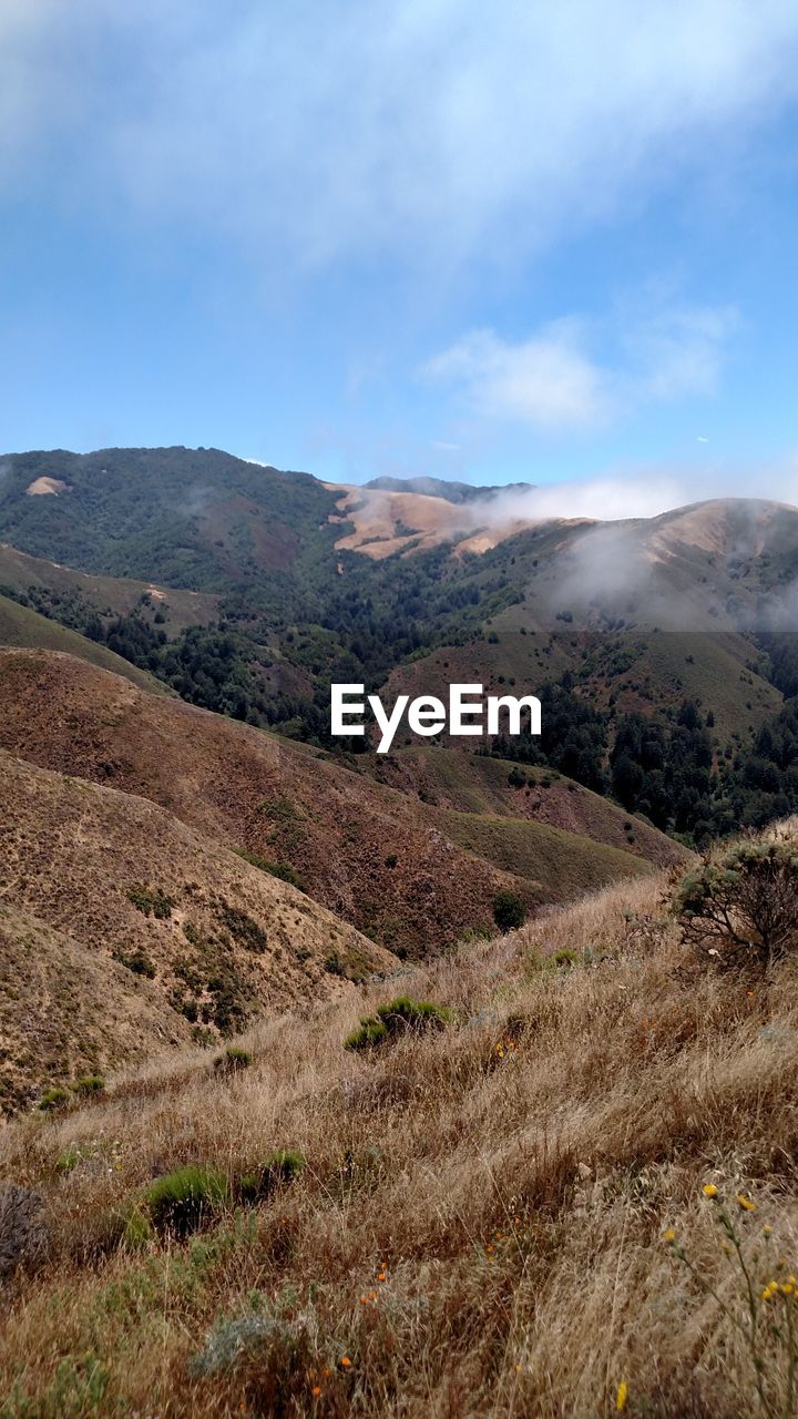 Scenic view of landscape against cloudy sky