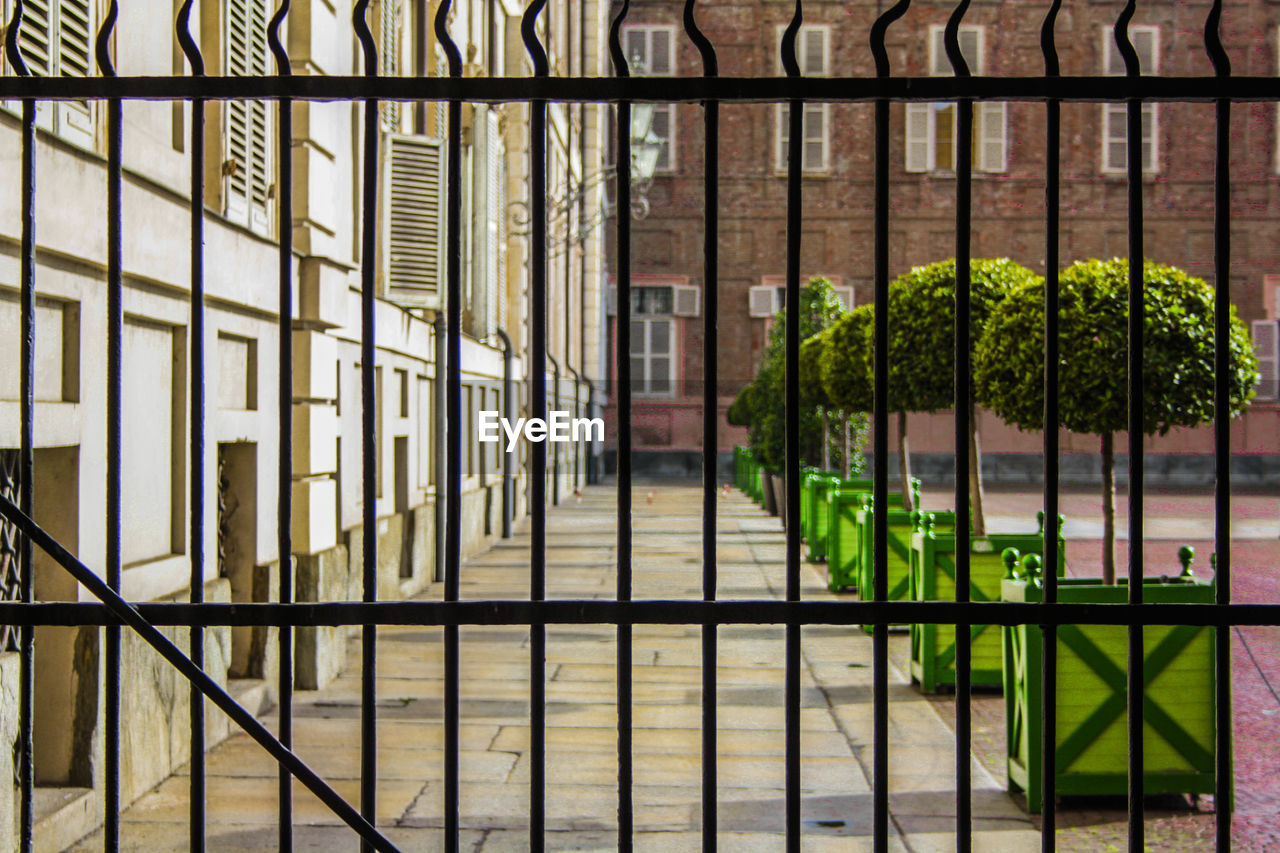 Walkway by plants seen through metal fence