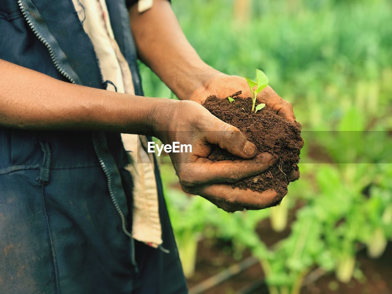 Midsection of man holding seedling outdoors