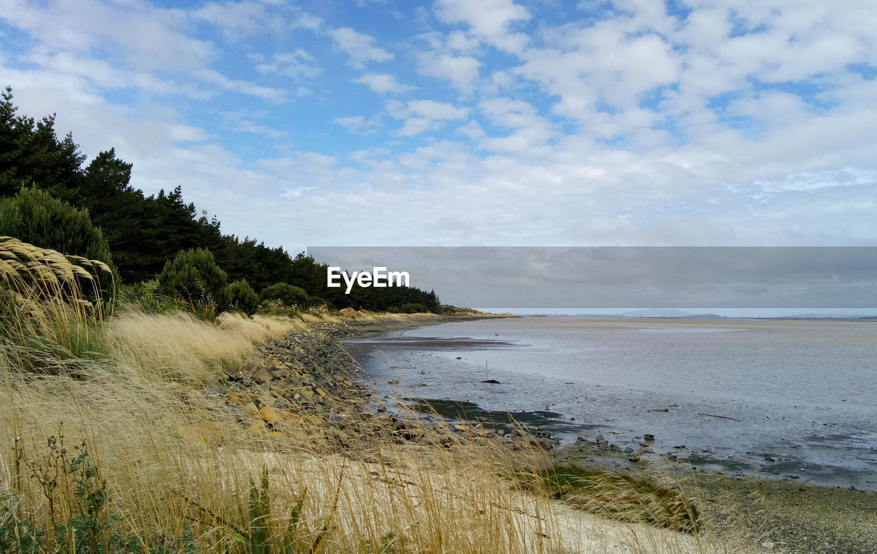 Scenic view of beach against sky