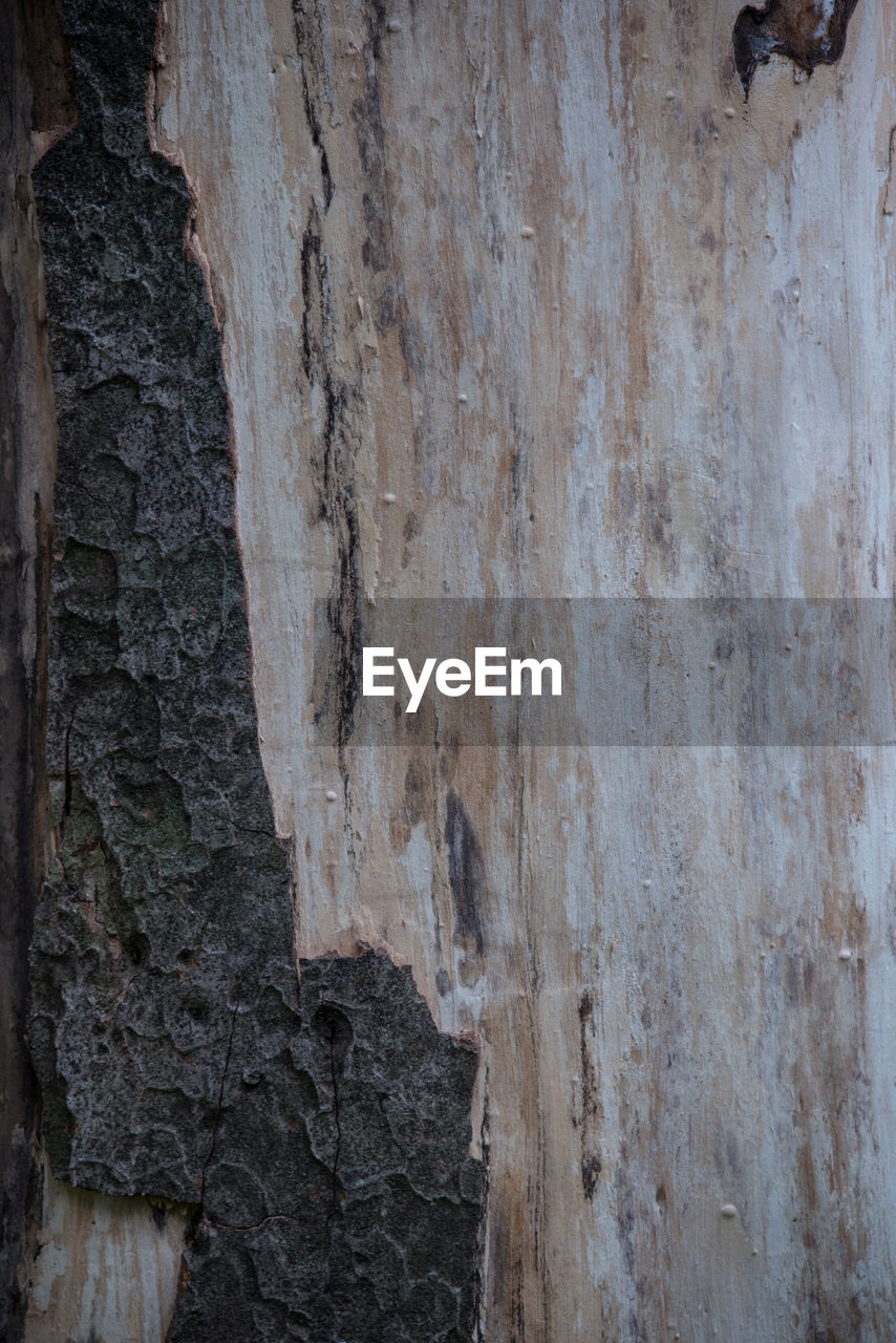 FULL FRAME SHOT OF WEATHERED WALL