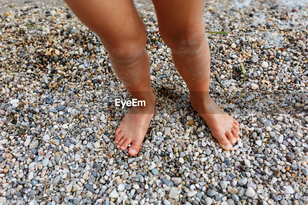 Barefeet child legs standing in the water in pebbles beach