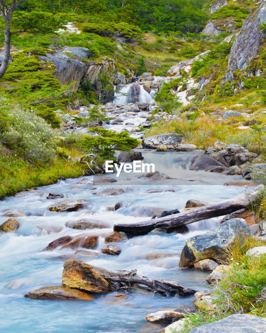 Stream flowing through rocks in forest