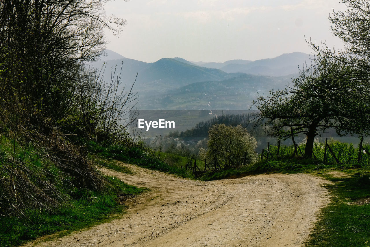 Dirt road by trees against sky