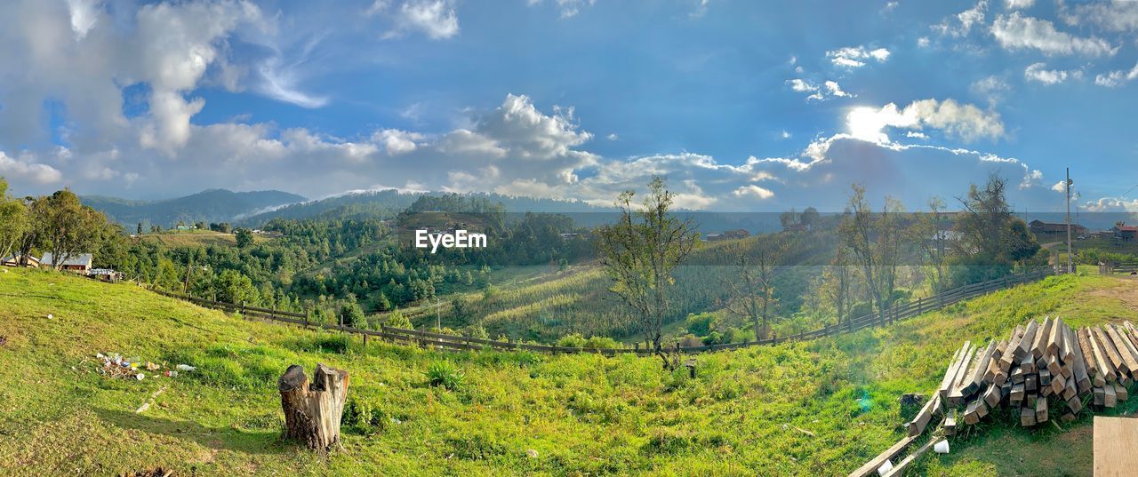 Panoramic shot of trees on field against sky