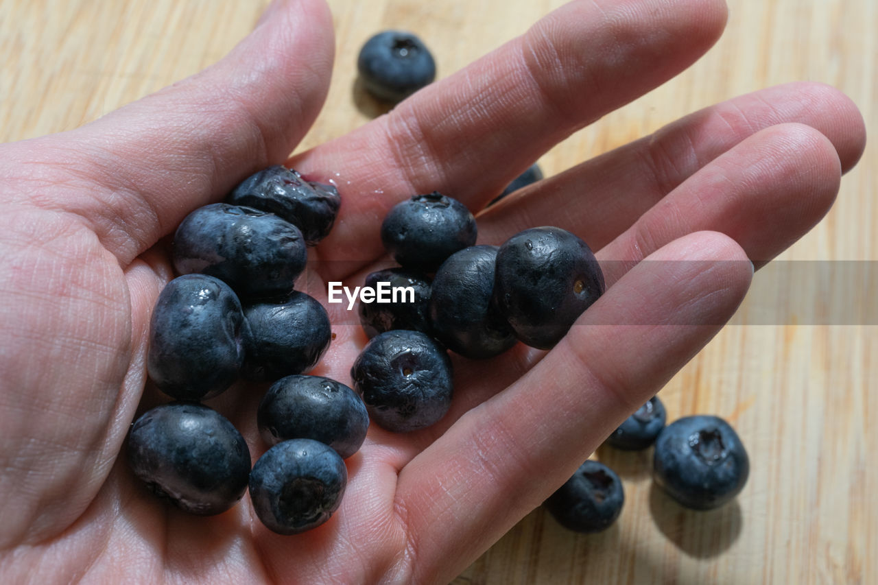 CLOSE-UP OF HUMAN HAND HOLDING FRUITS