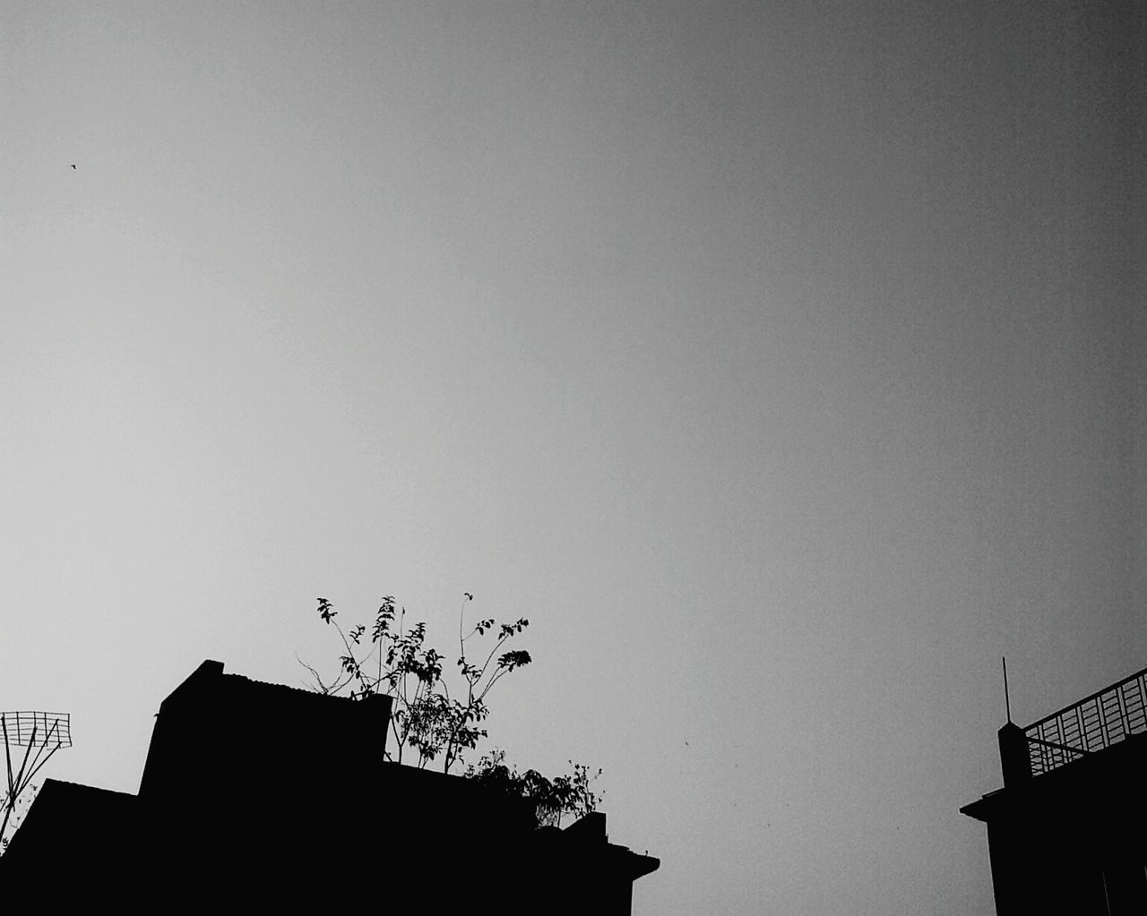 LOW ANGLE VIEW OF BUILDINGS AGAINST CLEAR SKY