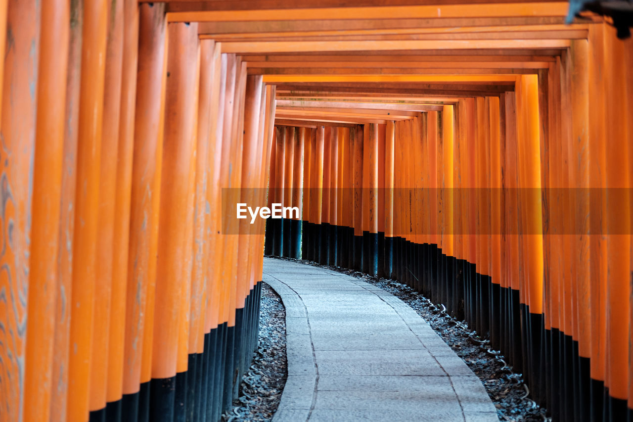 The famous fushimi inari gates, medium perspective, kyoto, japan.