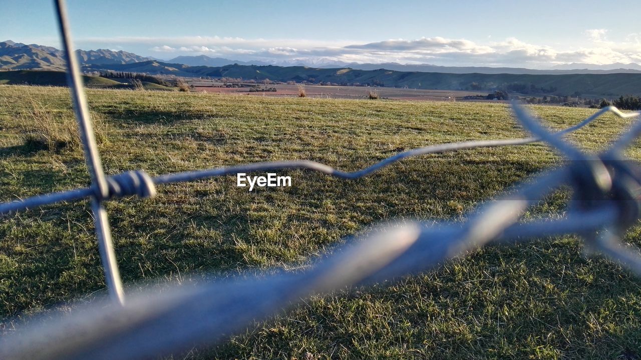 FIELD AGAINST SKY