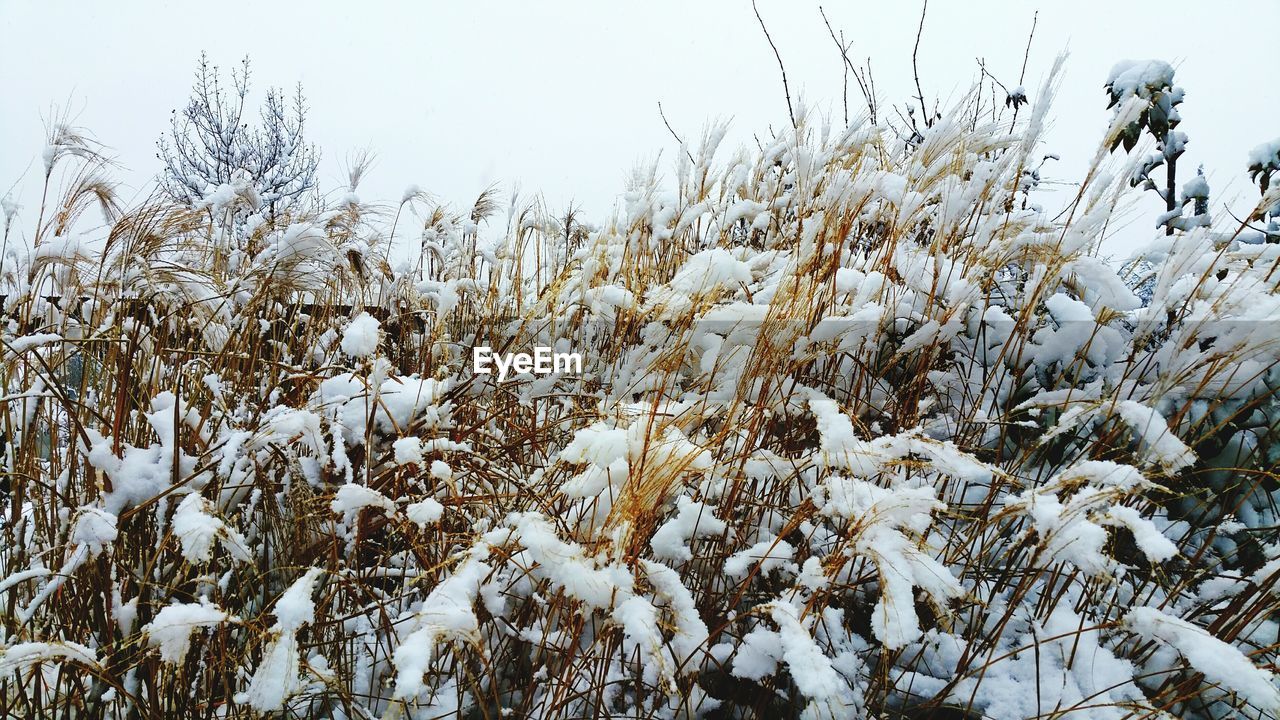 High angle view of snow covered field during winter