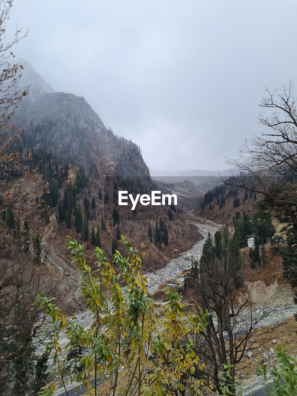 SCENIC VIEW OF TREES AND MOUNTAINS AGAINST SKY