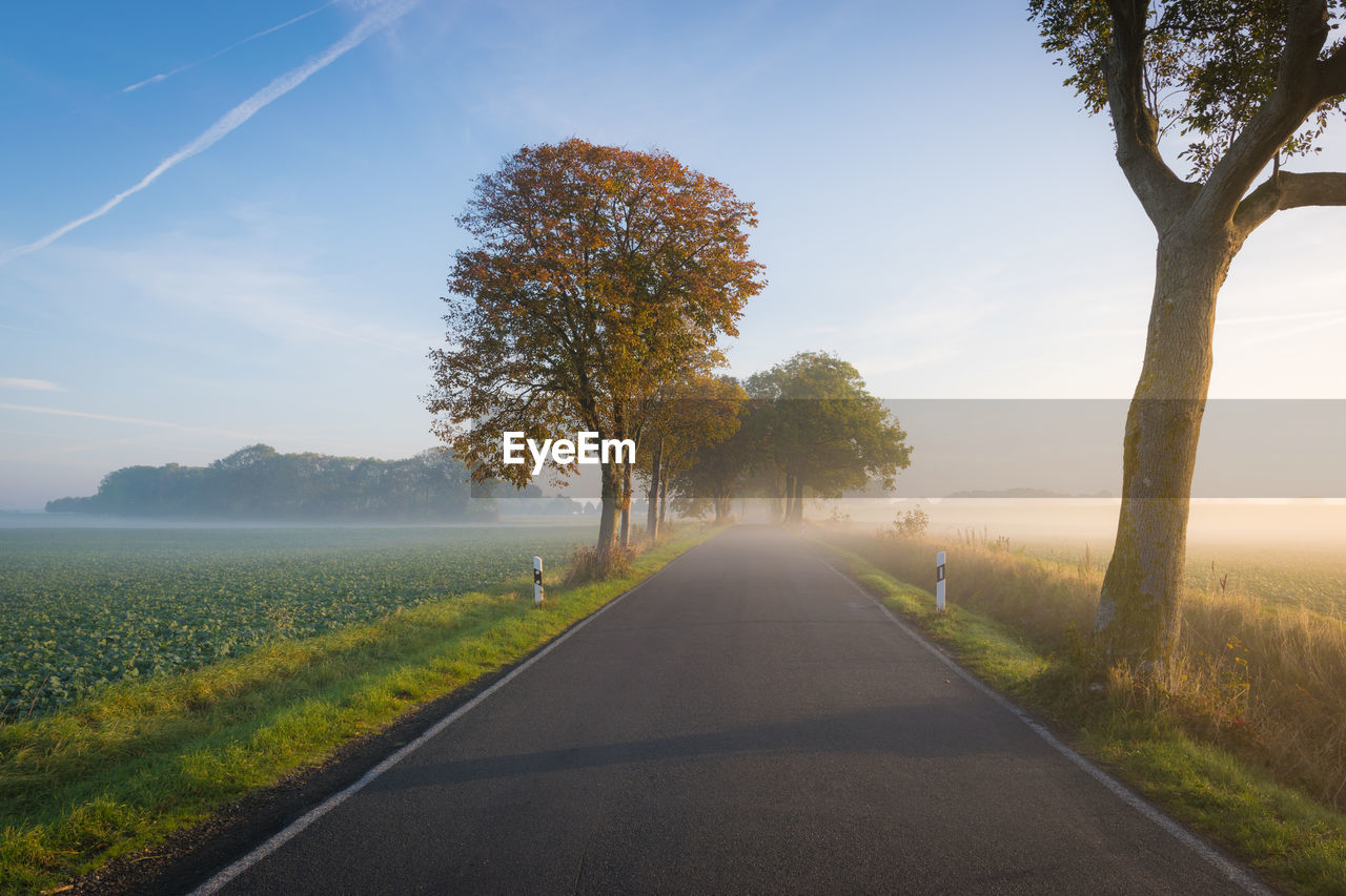 ROAD BY TREES ON FIELD AGAINST SKY DURING AUTUMN