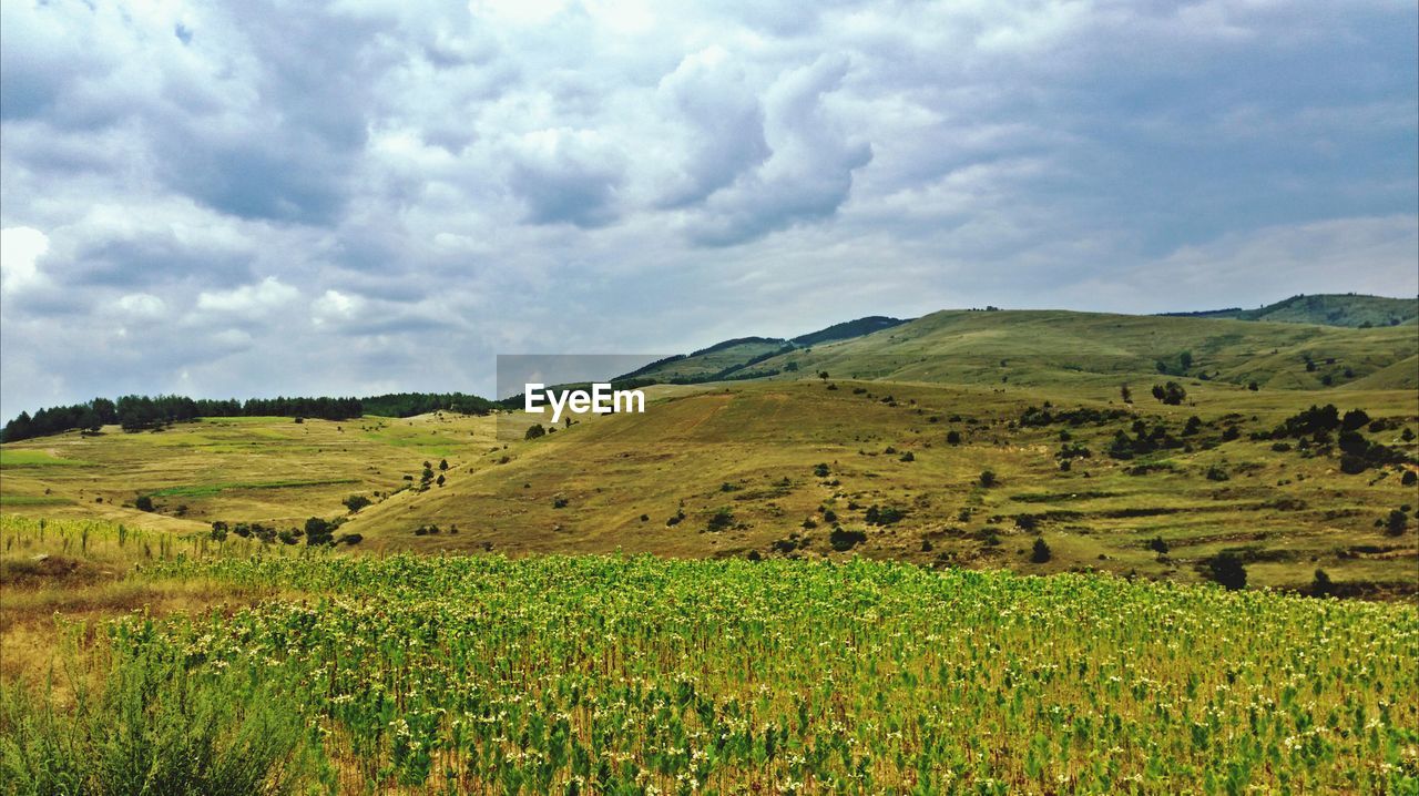 View of a valley