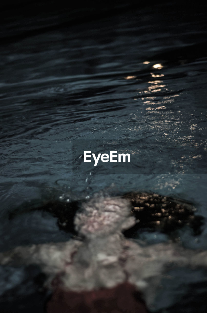 High angle view of woman swimming in pool