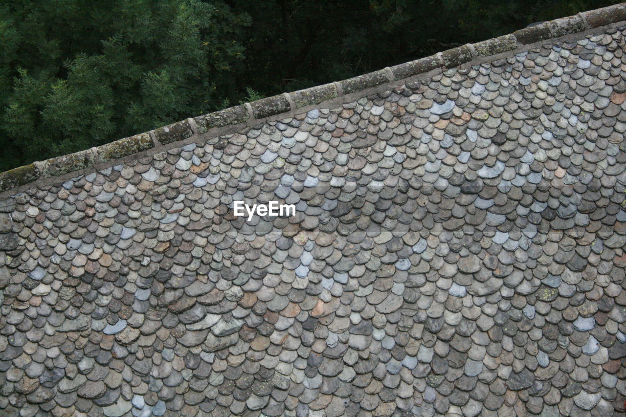 Low angle view of house roof against trees