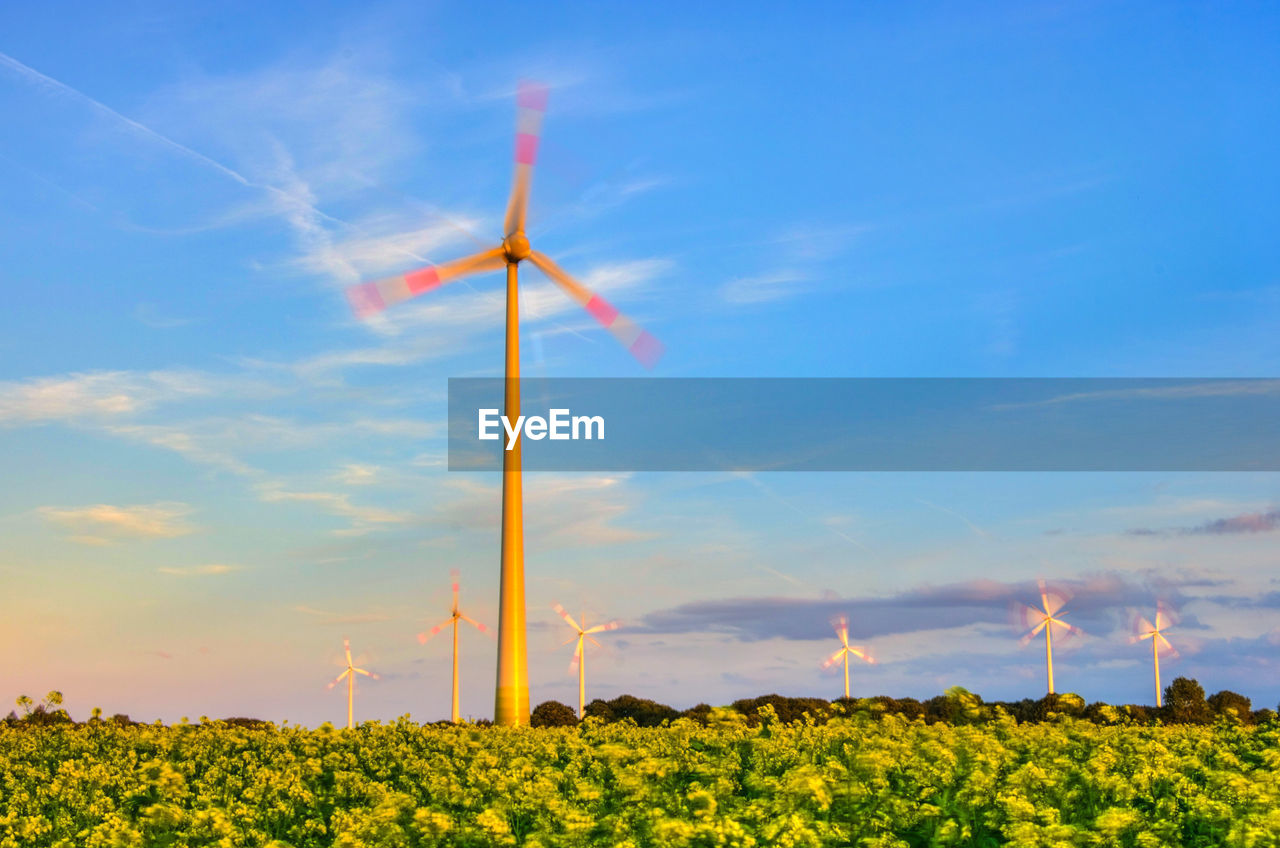 Wind turbines in a rapeseed field