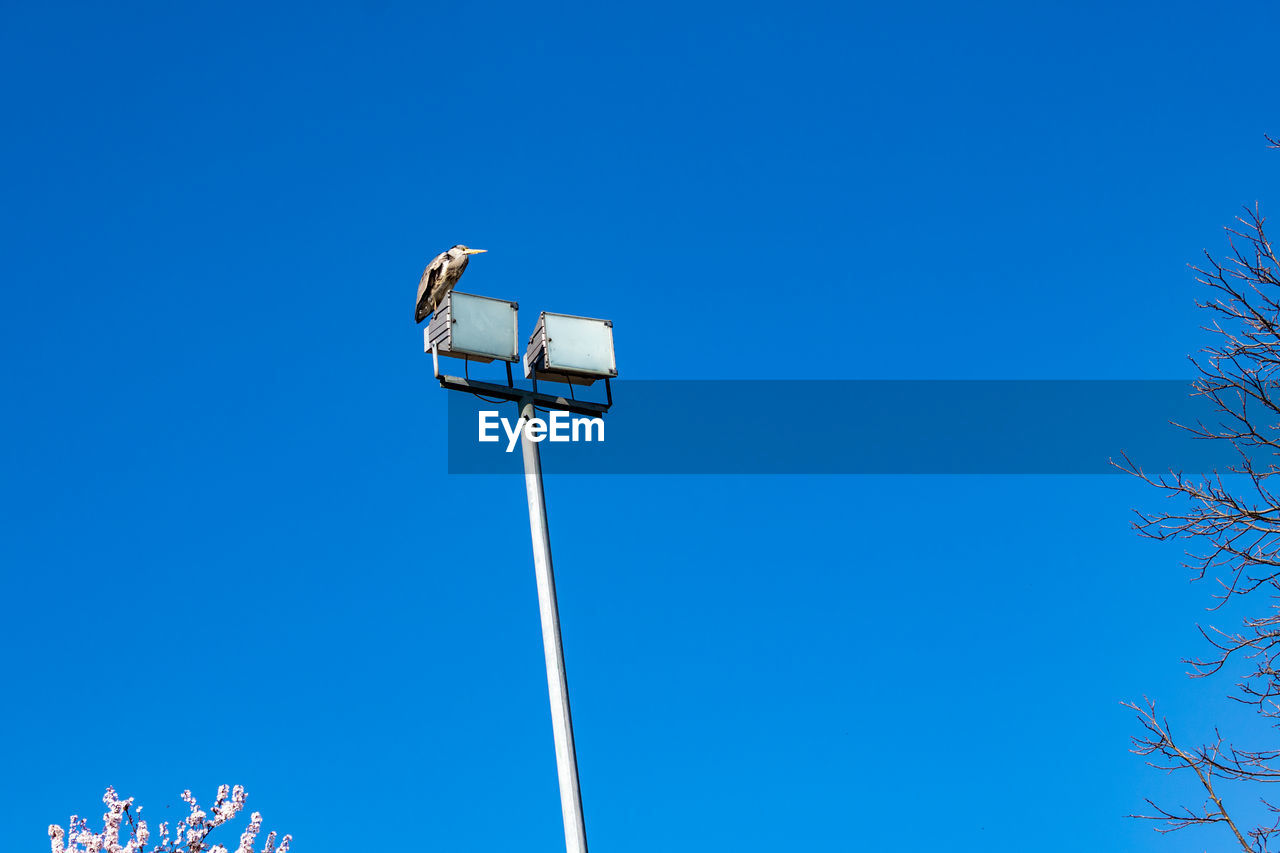 LOW ANGLE VIEW OF STREET LIGHT AGAINST SKY