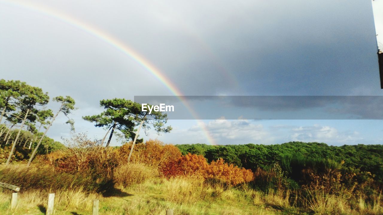 SCENIC VIEW OF RAINBOW OVER LANDSCAPE