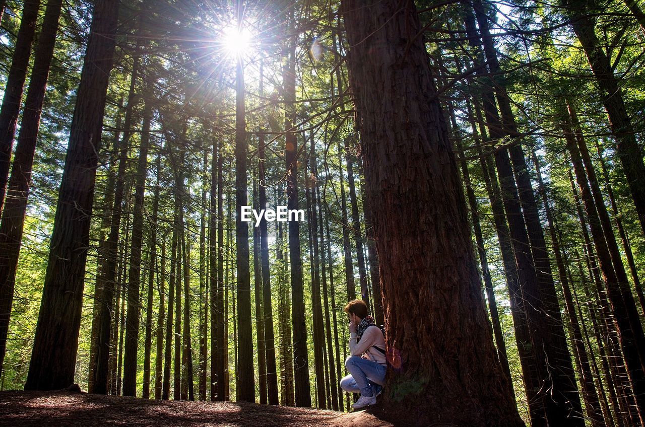 Low angle view of woman sitting by tree trunk at forest