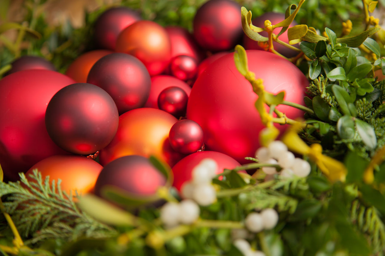 CLOSE-UP OF BERRIES