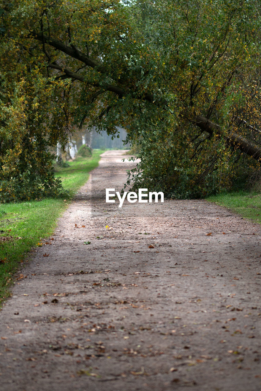 ROAD ON LANDSCAPE