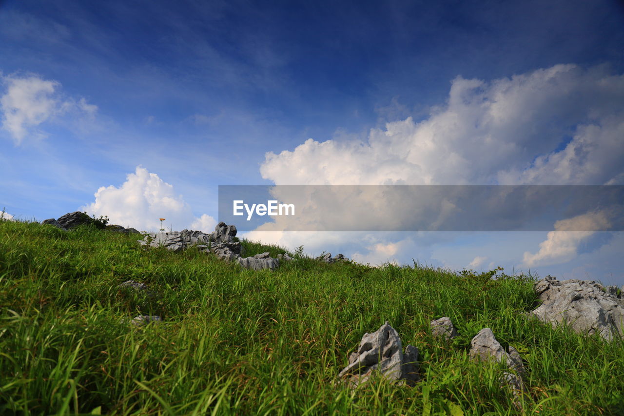 SCENIC VIEW OF LAND AGAINST SKY