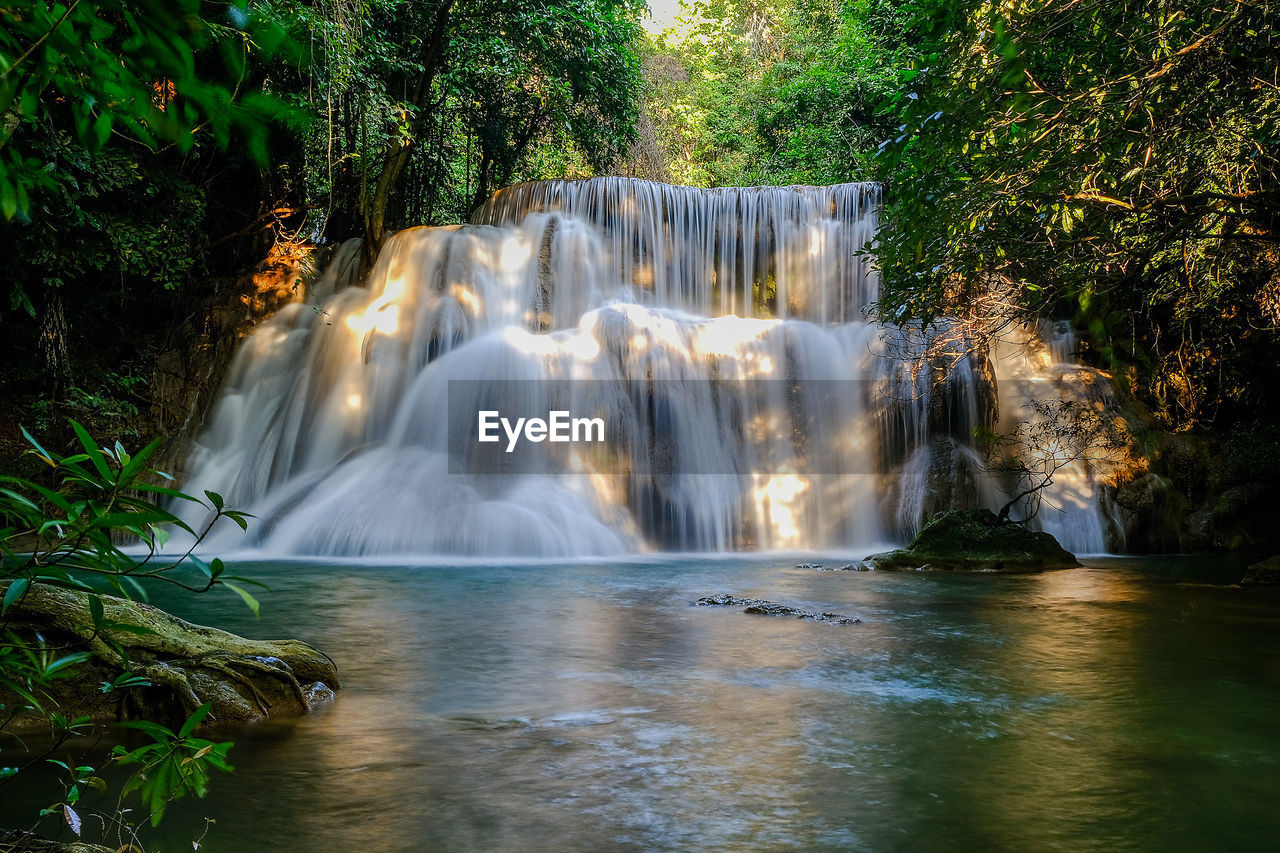 PANORAMIC VIEW OF WATERFALL IN FOREST