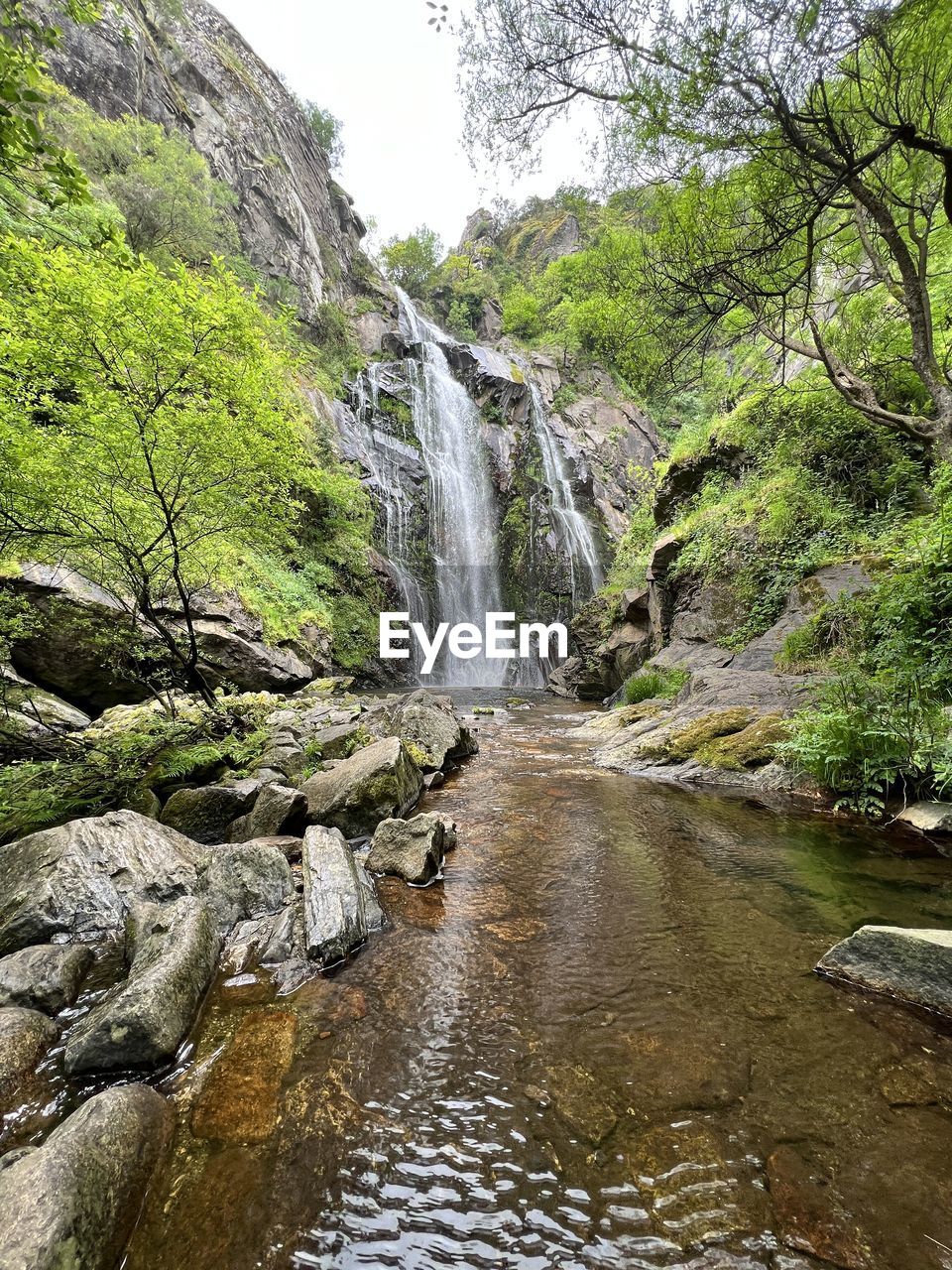 tree, plant, beauty in nature, nature, water, waterfall, scenics - nature, land, rock, no people, forest, day, water feature, green, non-urban scene, environment, growth, tranquility, outdoors, flowing water, wilderness, motion, stream, low angle view, ravine, rock formation, tranquil scene, river, idyllic, moss