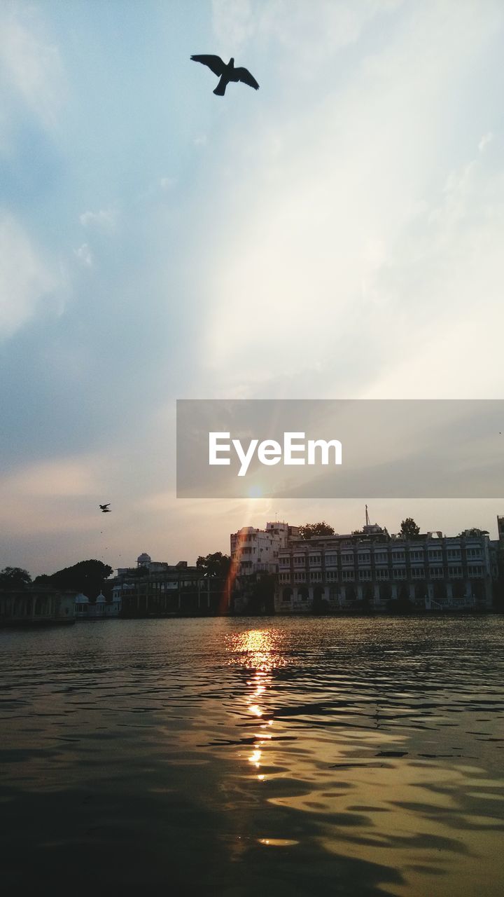 Low angle view of bird flying over river against sky