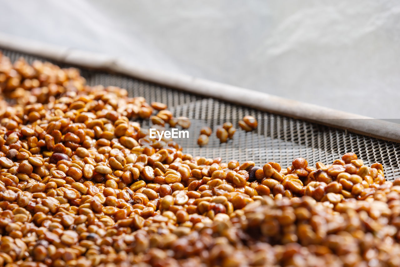 food and drink, crop, food, agriculture, produce, freshness, healthy eating, no people, whole grain, selective focus, wellbeing, close-up, abundance, large group of objects, seed, brown, nature, dried food, nut, cereal plant, nuts & seeds