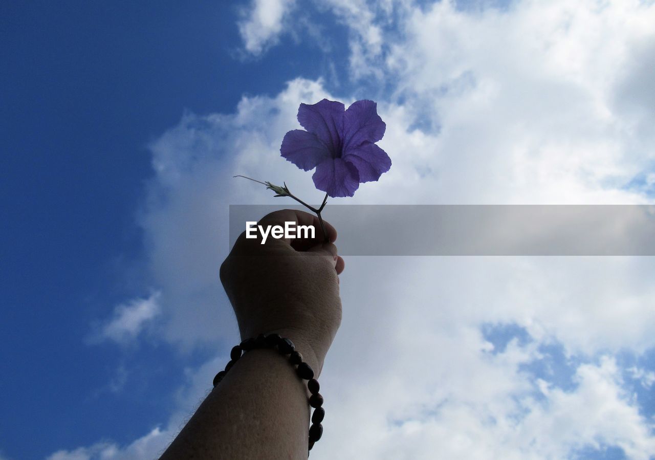 low angle view of woman holding flower against sky