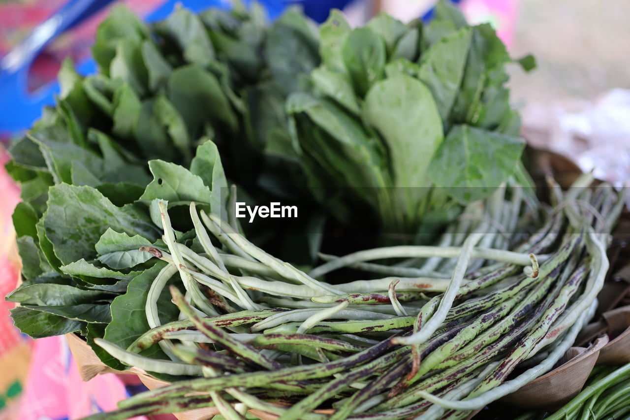 Close-up of leaves in market