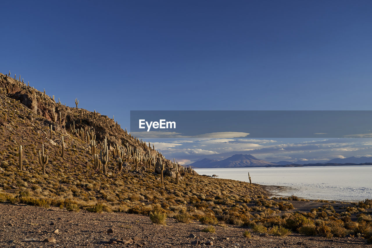 Fish island at salar de uyuni, worlds largest salt flat and biggest lithium source altiplano bolivia