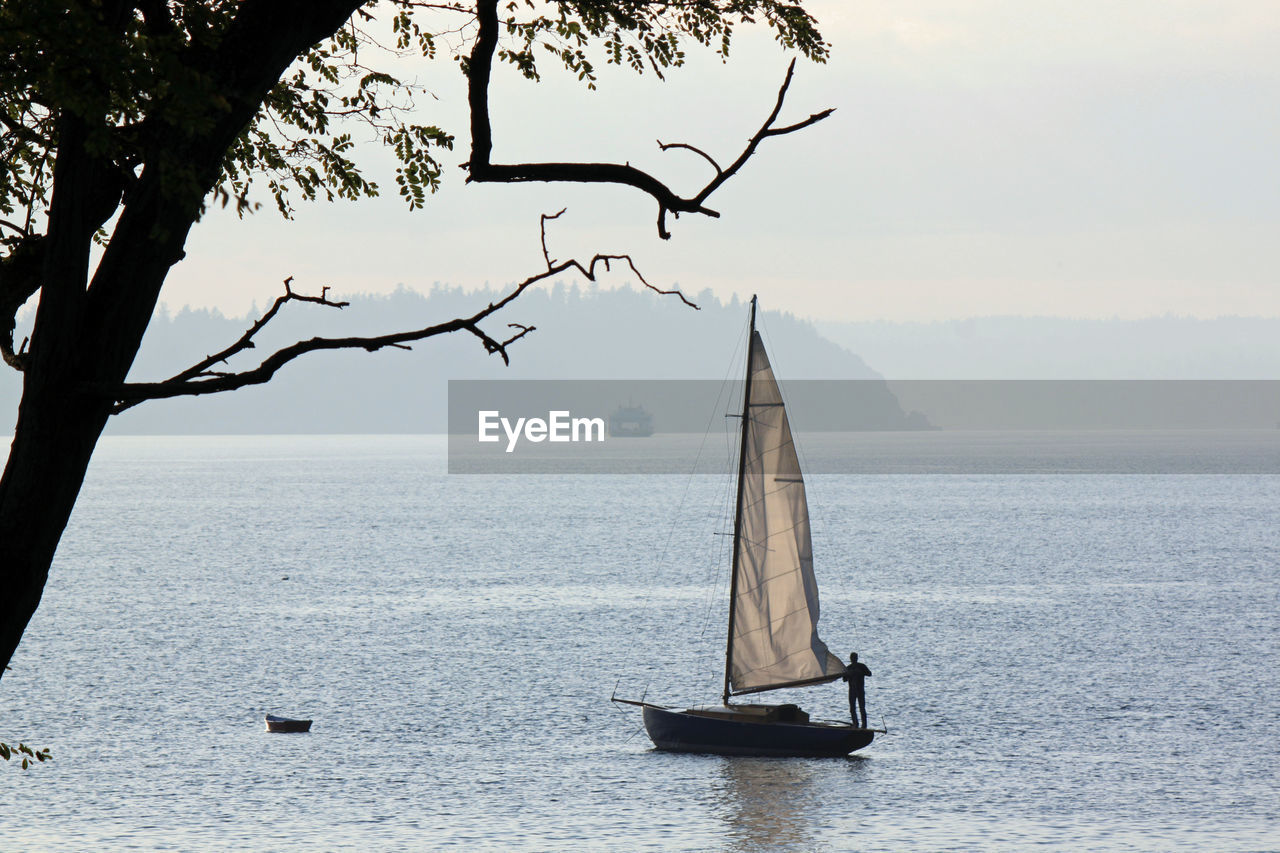 Sailboat on sea against sky