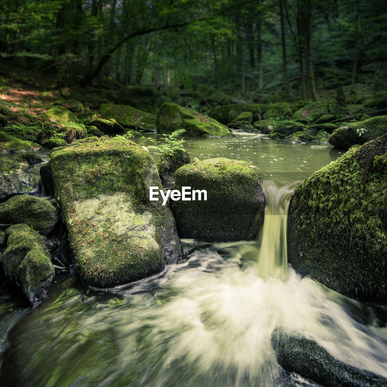 WATER FLOWING THROUGH ROCKS IN FOREST