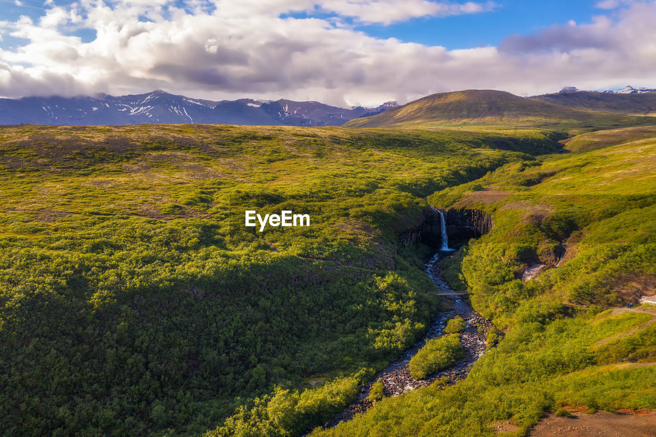 high angle view of trees on landscape against sky