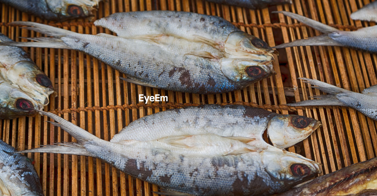 HIGH ANGLE VIEW OF FISH IN MARKET