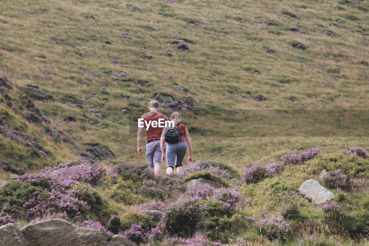 Couple walking on countryside landscape