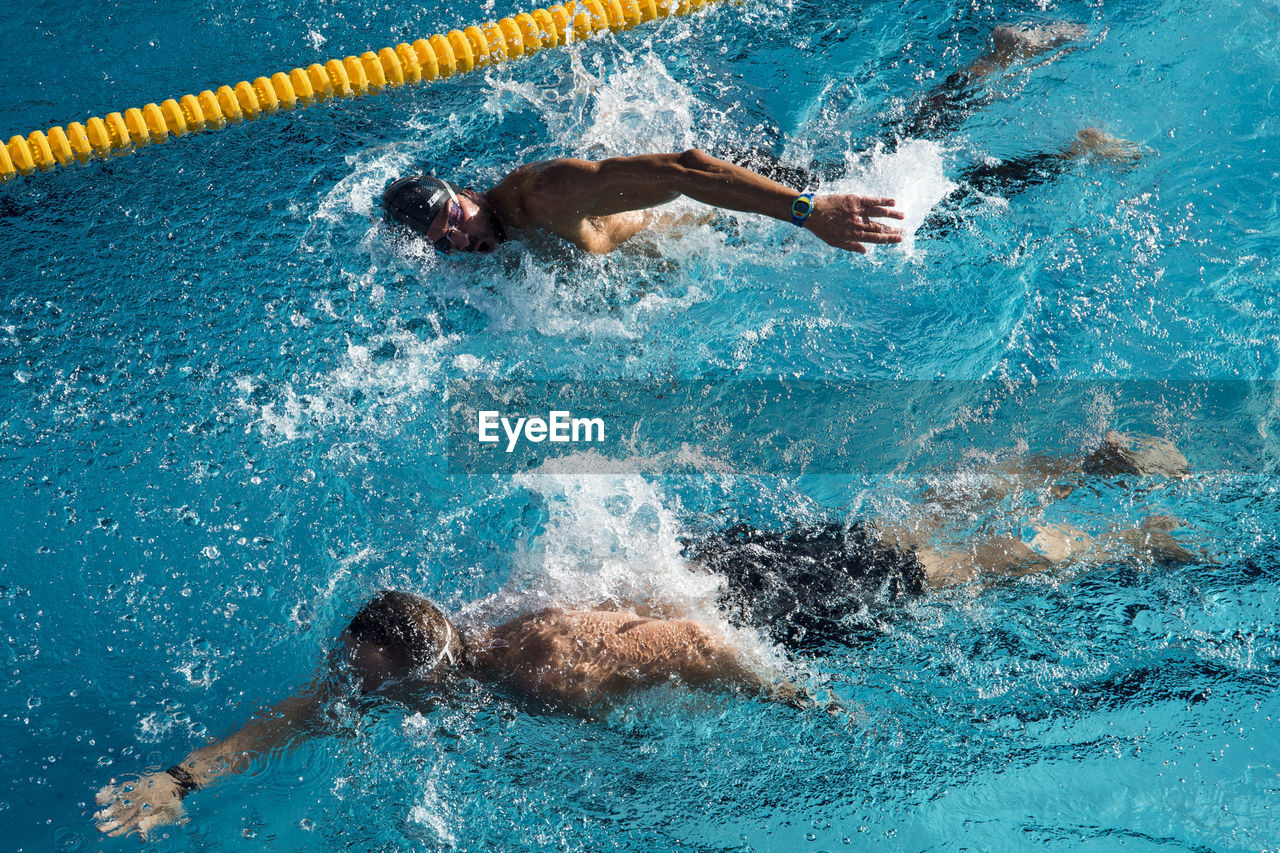 High angle view of male athletes swimming in pool