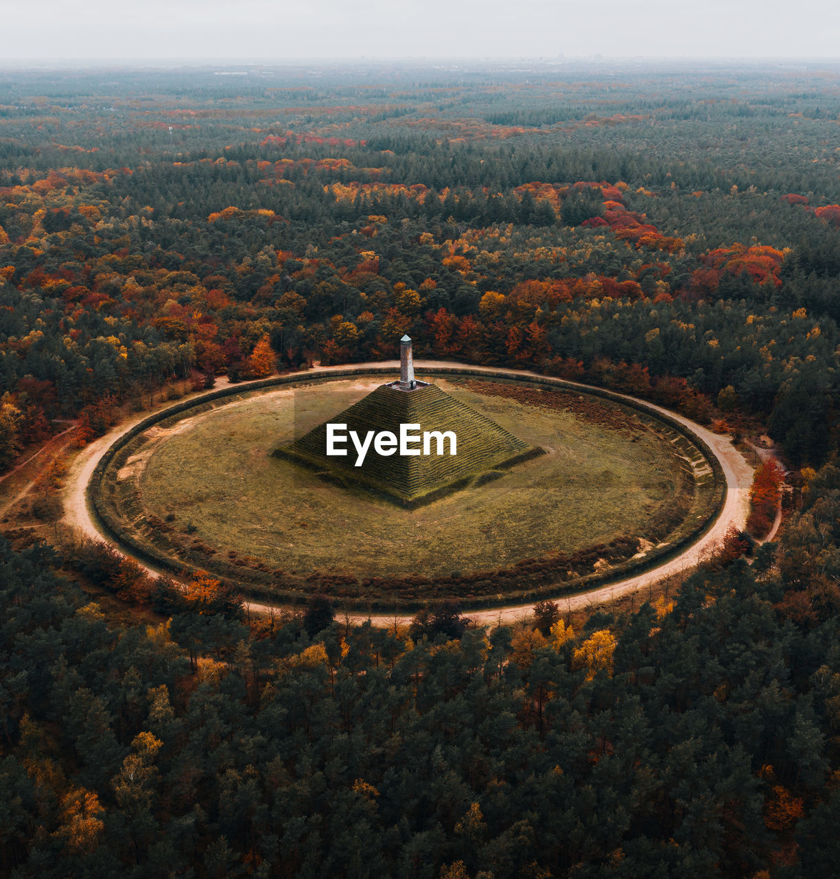 High angle view of trees on field against sky