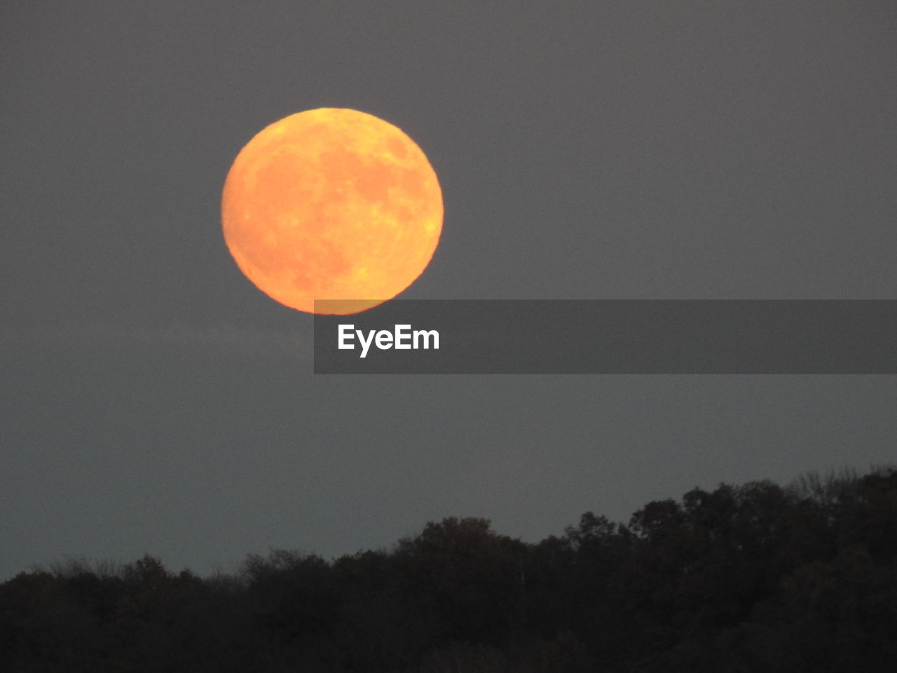 SCENIC VIEW OF MOON IN SKY