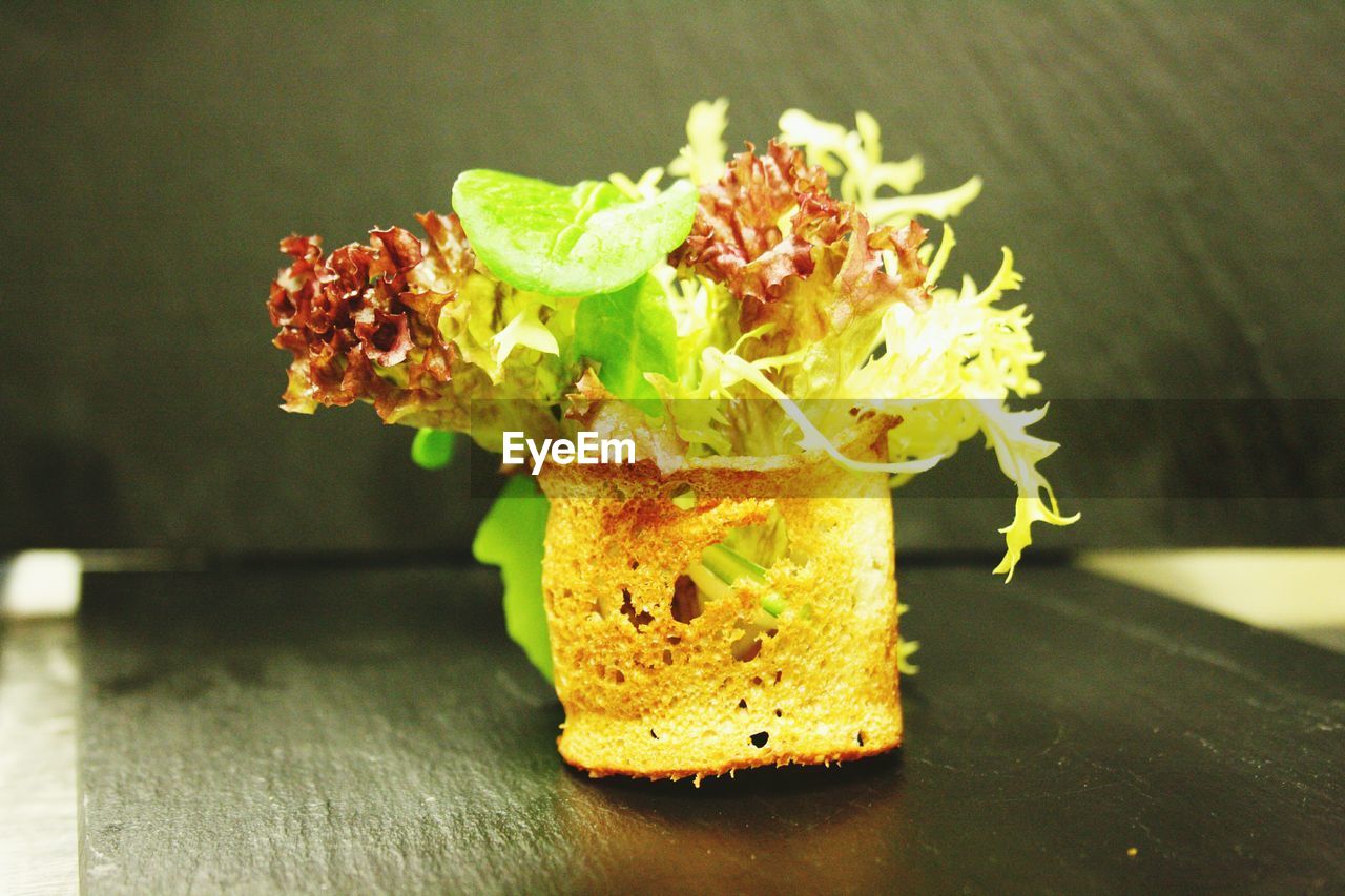 CLOSE-UP VIEW OF FLOWER