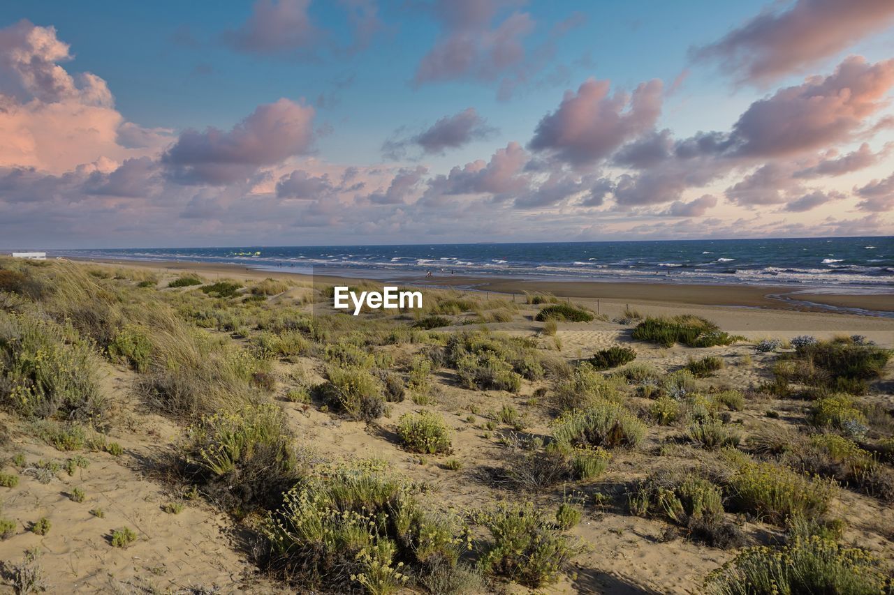 Scenic view of beach against sky during sunset