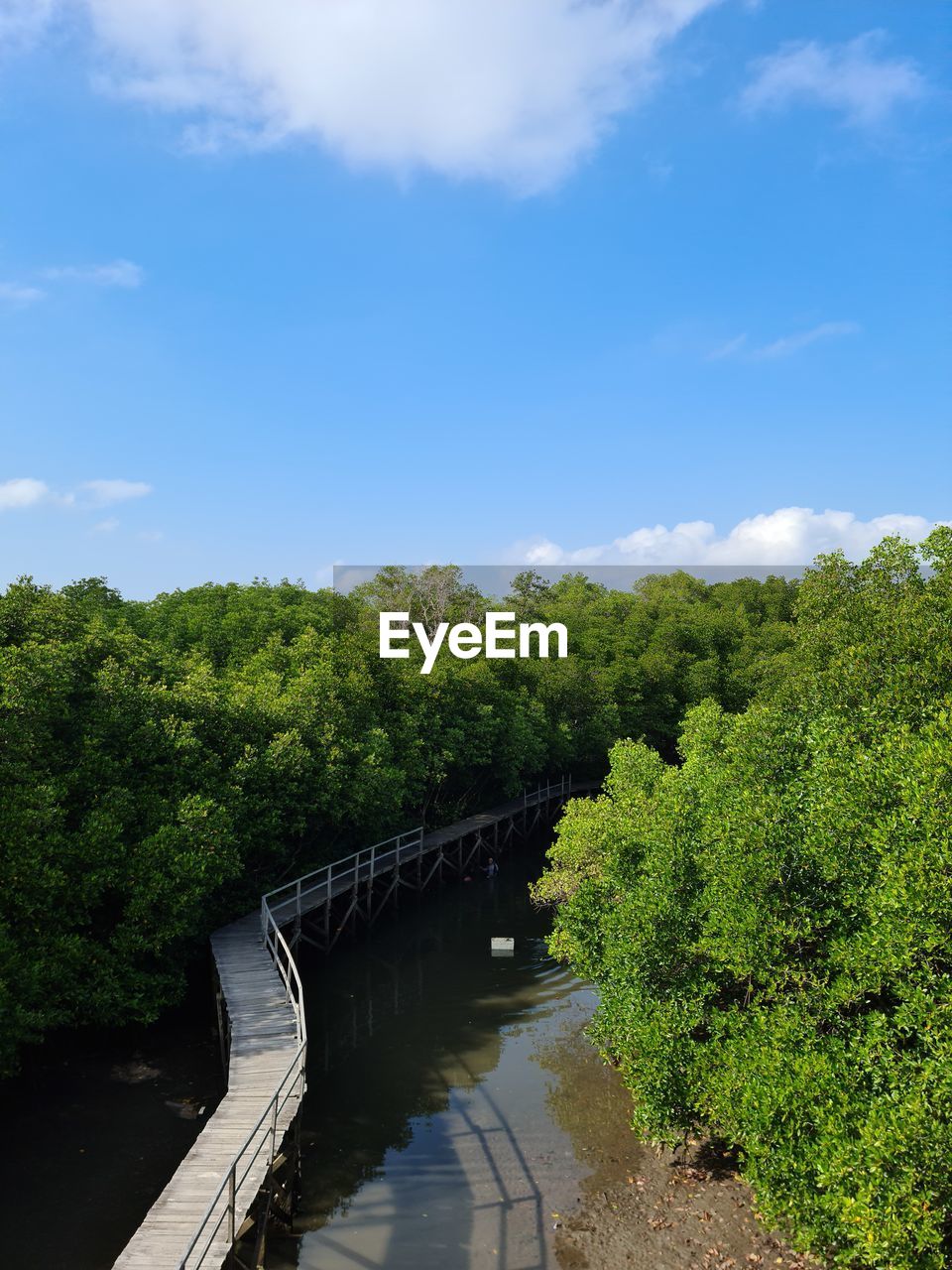 BRIDGE OVER RIVER BY TREES AGAINST SKY