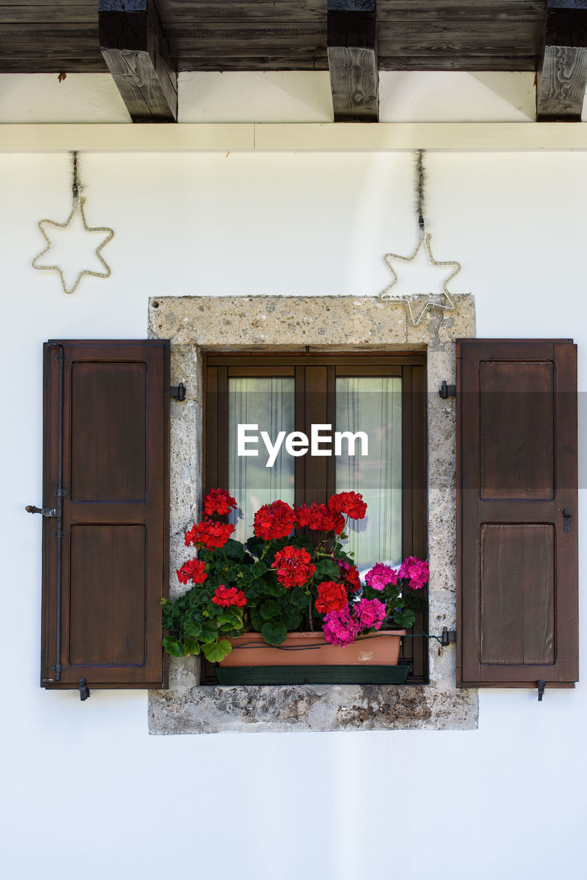 FLOWERS ON WINDOW AGAINST BUILDING