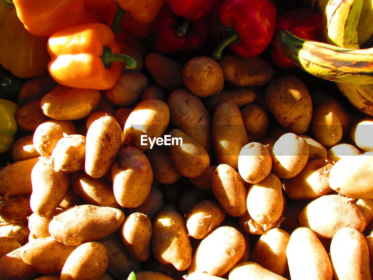 Directly above shot of potatoes and yellow bell peppers on sunny day